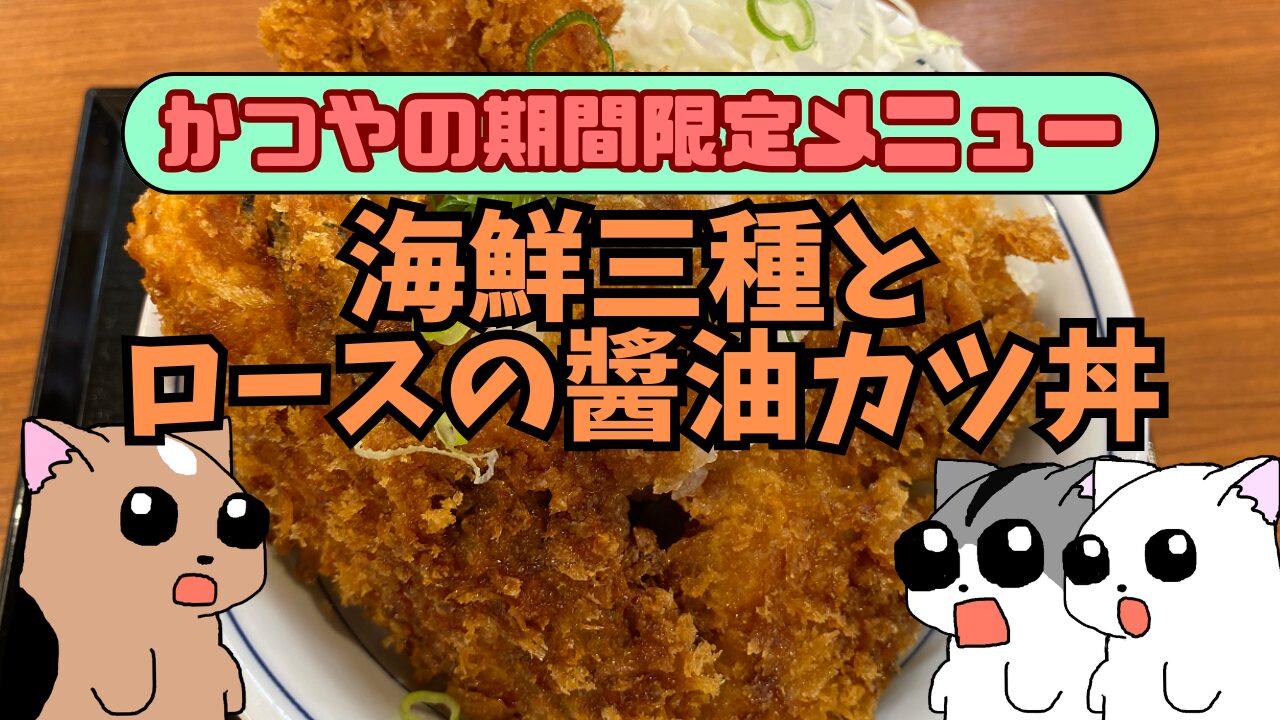 Katsuya20260626