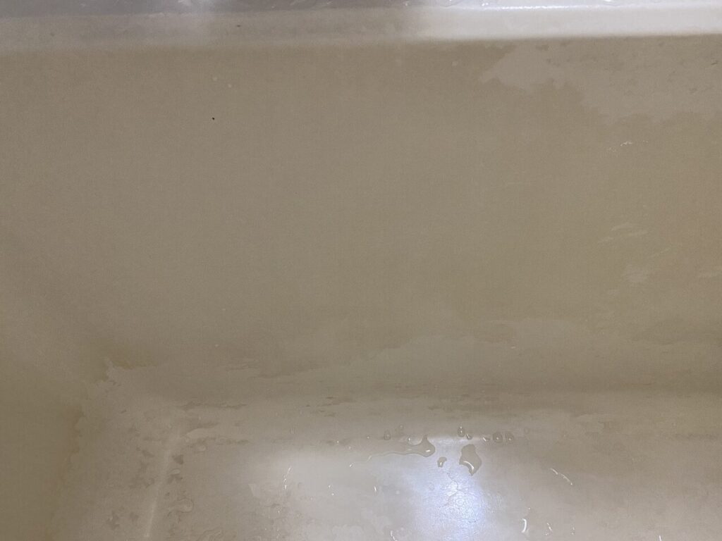 Bath-Cleaning1
