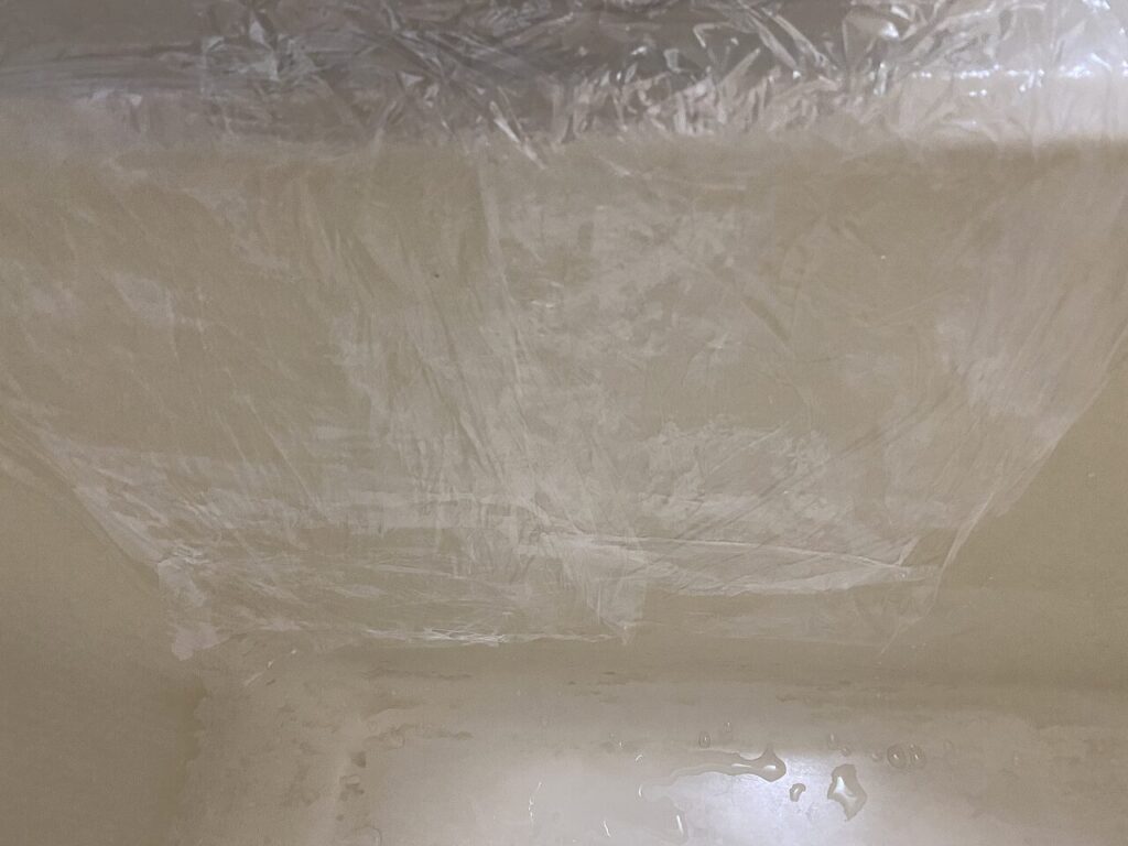 Bath-Cleaning2
